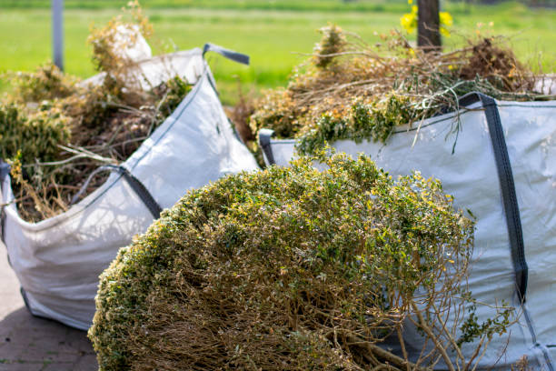 Best Construction Debris Removal  in Vista, CA